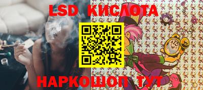 стафф Донской
