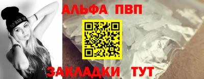 стафф Донской