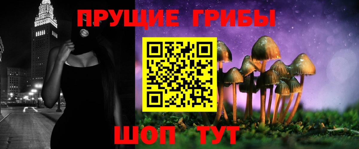 Галлюциногенные грибы Cubensis  Галлюциногенные грибы GOLDEN TEACHER  Железноводск  Вход с VPN 